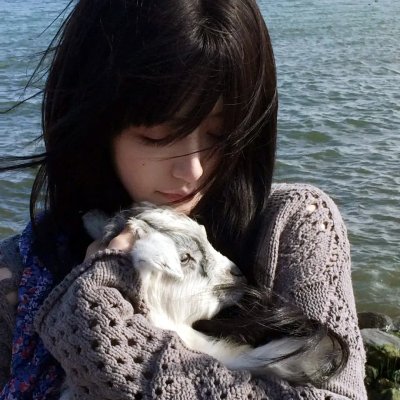 神圣无花果之种